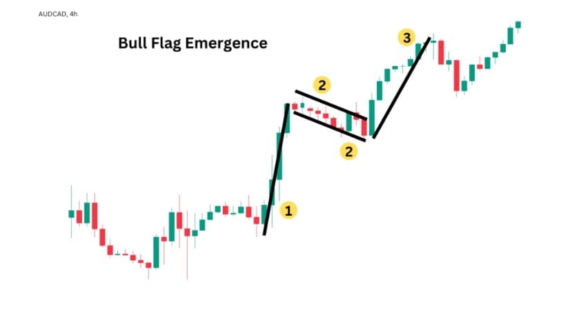 Daily Momentum Example 2