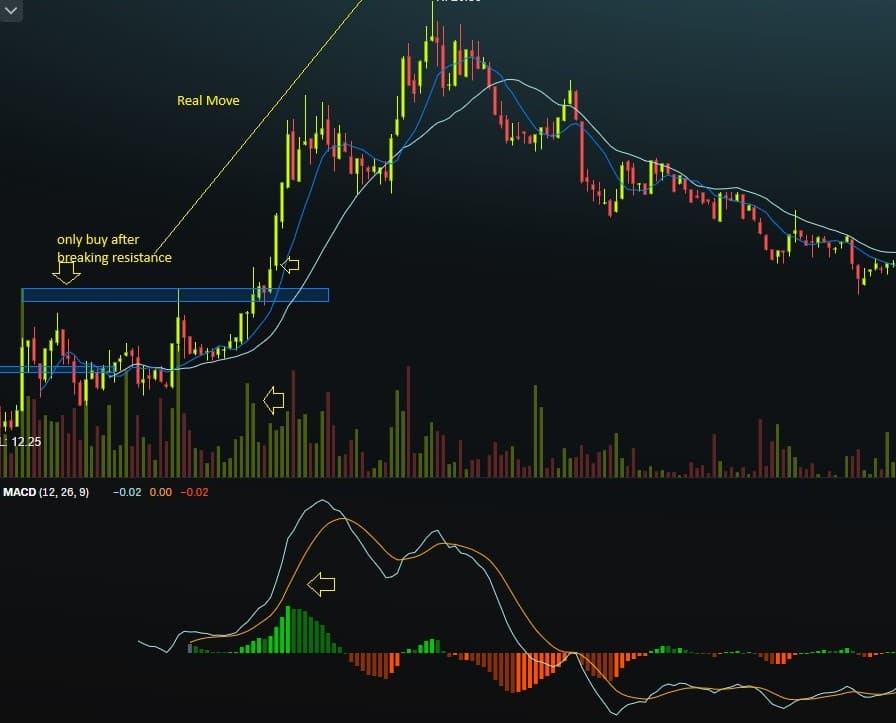 Daily Momentum Example 2